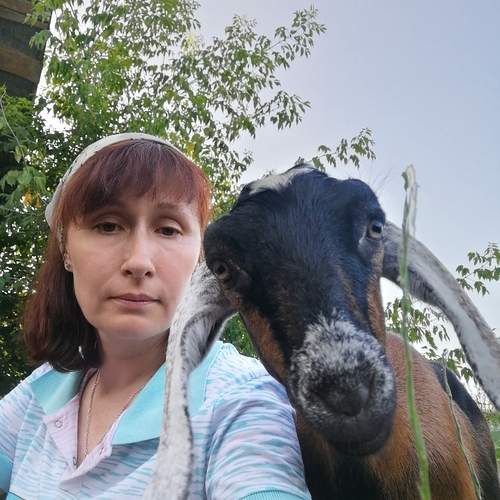 Photo #13286309