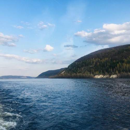 Photo #13286321