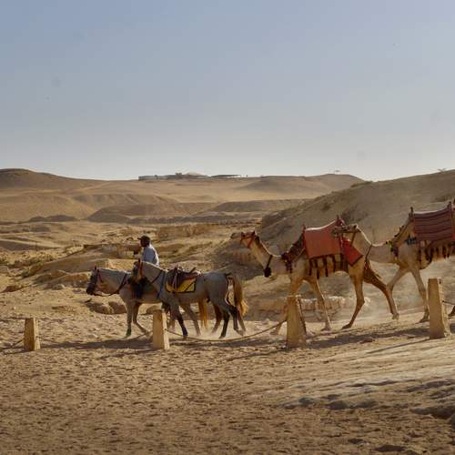 Photo #13286357
