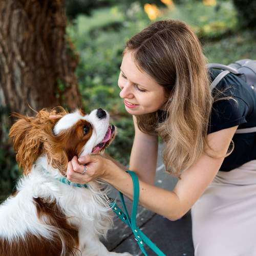 Photo #13286461