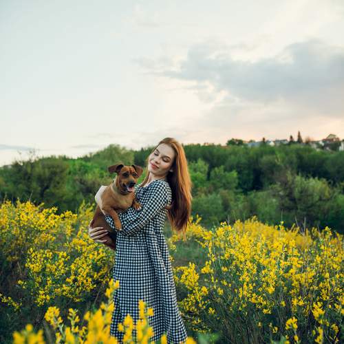 Photo #13286463