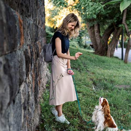 Photo #13286472