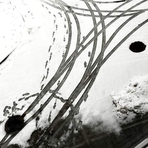 Photo #13286506