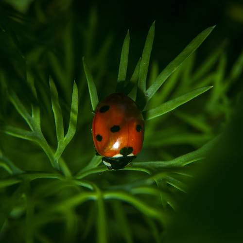 Photo #13286567
