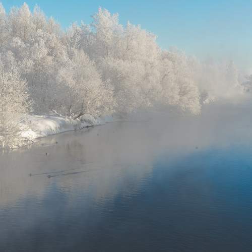 Photo #13286632