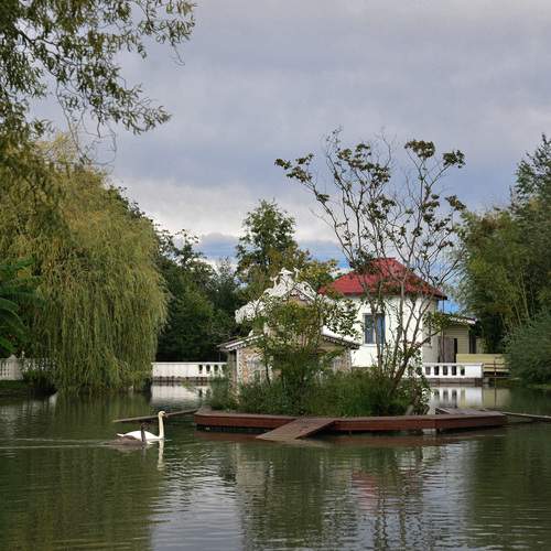 Photo #13286648