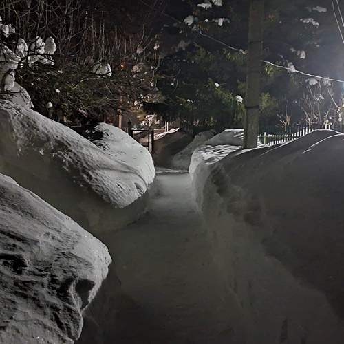 Photo #13286765