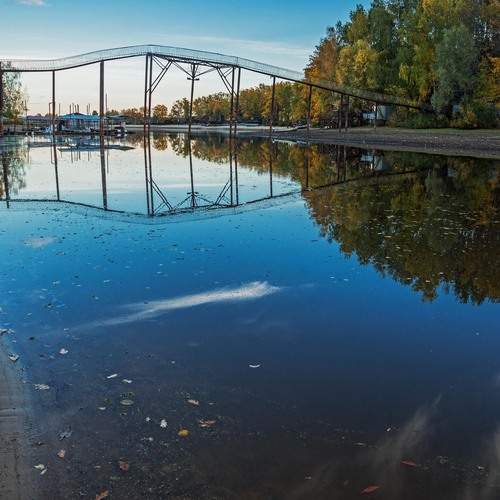 Photo #13286830