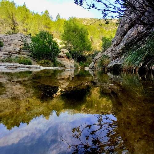 Photo #13286876