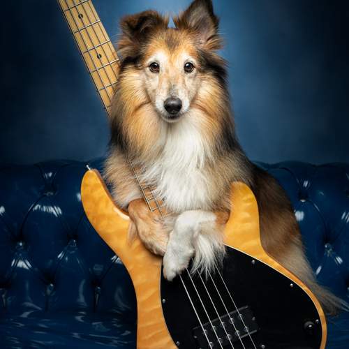 BASS DOG!