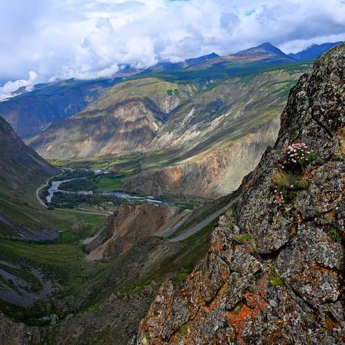Photo #13287125
