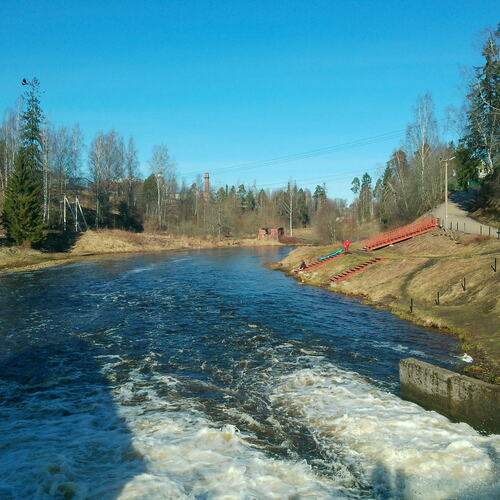 Photo #13287158