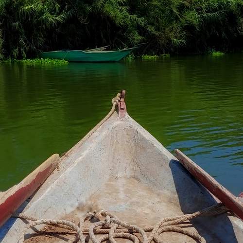 Photo #13287174