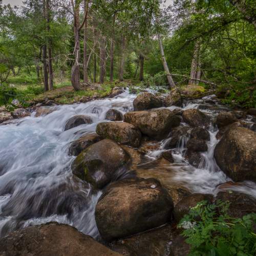 Photo #13287320