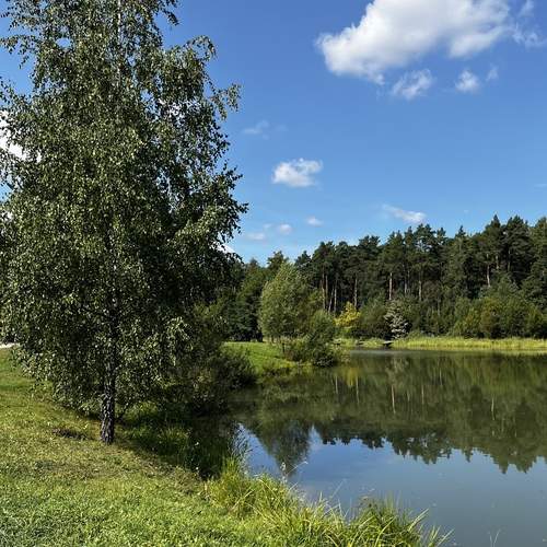 Photo #13287340