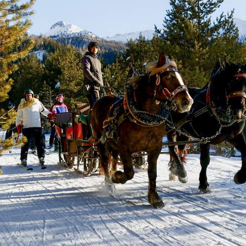 Фотография #13287408