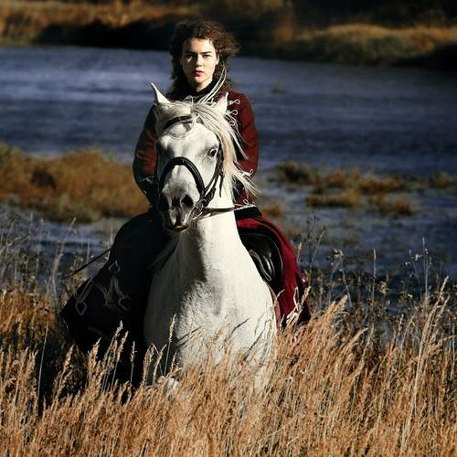 Photo #13287457