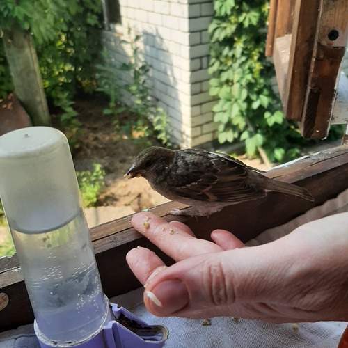 Photo #13287648