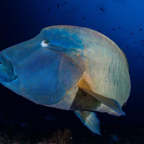 Photo #13287677