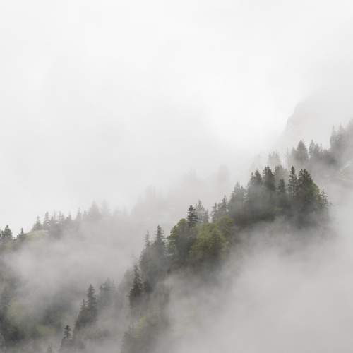 Photo #13287679
