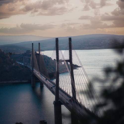 Photo #13287765