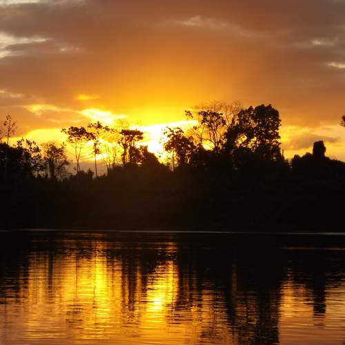 Photo #13287770