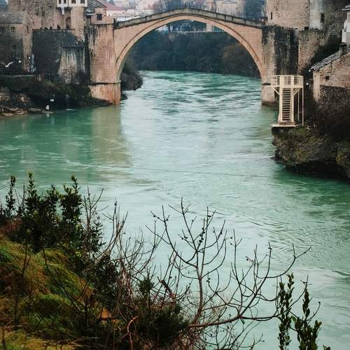 Photo #13287833