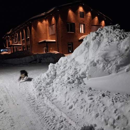 Photo #13287933