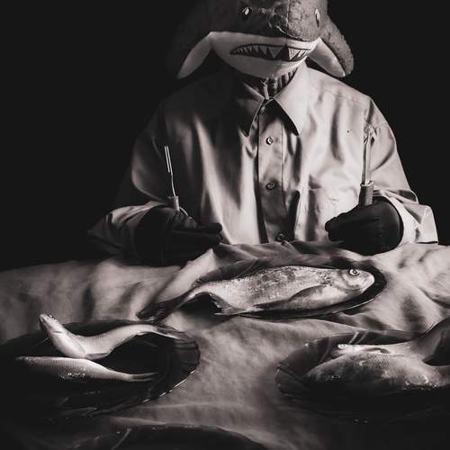 Photo #13287996