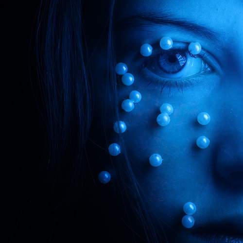 Photo #13287999
