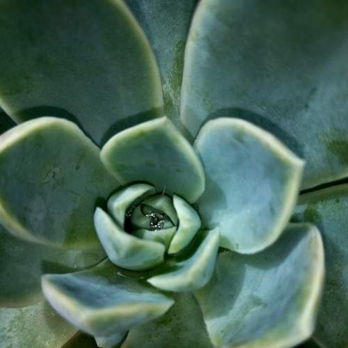 Photo #13288082