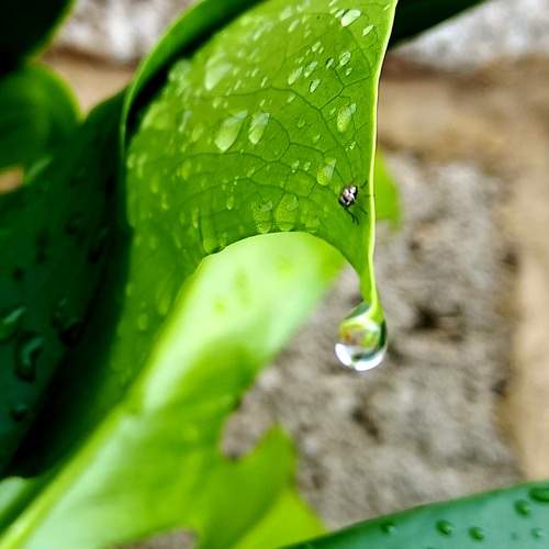 Photo #13288107