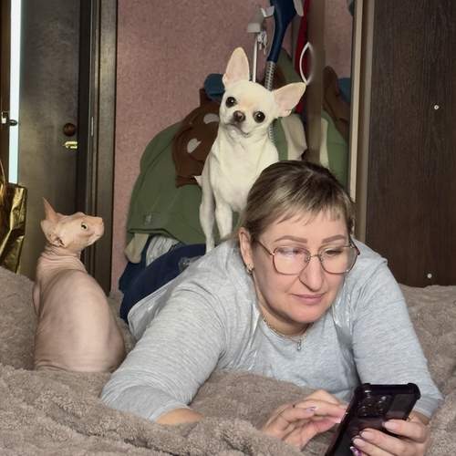 Photo #13288124