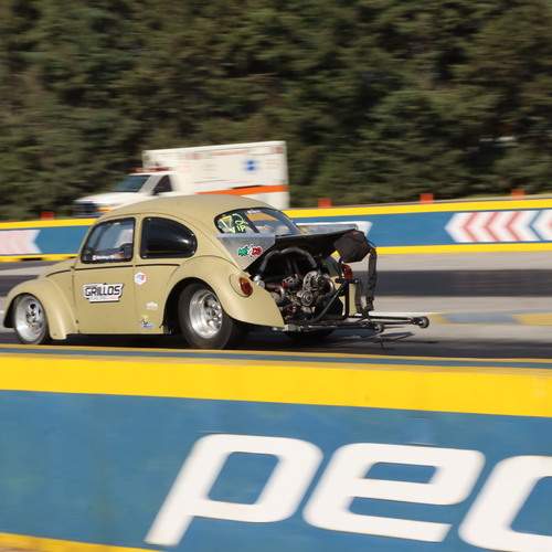 Photo #13288137