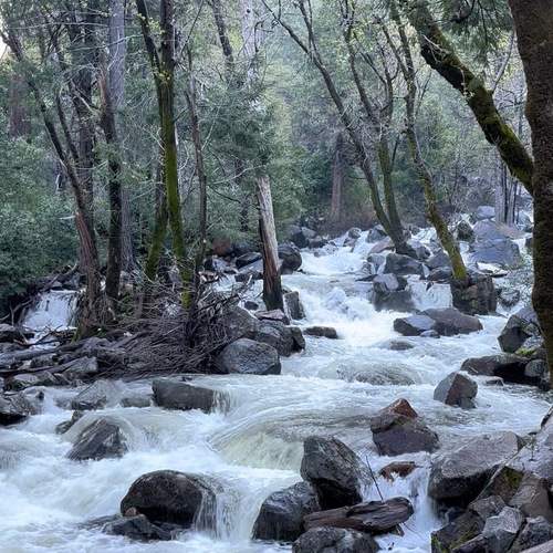 Photo #13288165