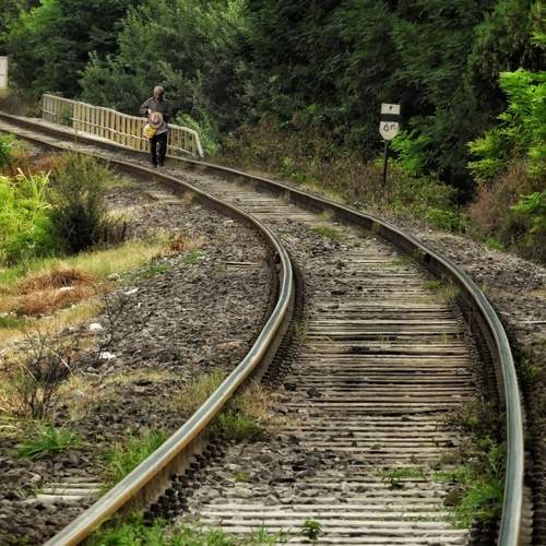 Photo #13288237