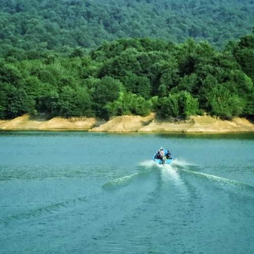 Photo #13288249