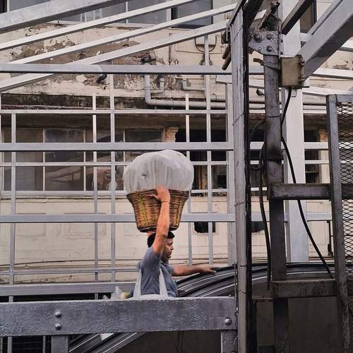 Photo #13288654