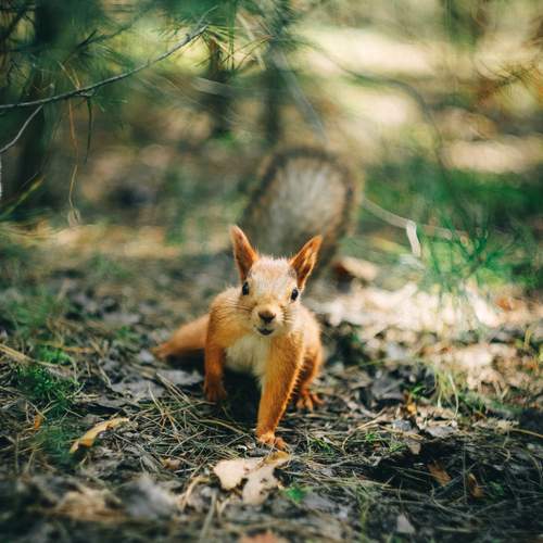 Photo #13288732