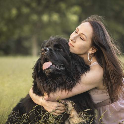 Photo #13288802
