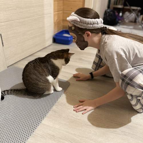 Photo #13288905