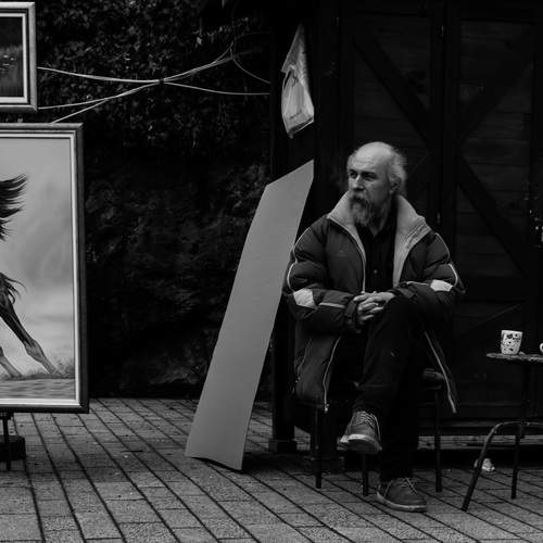 Photo #13288948