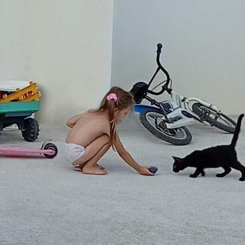 Photo #13288959