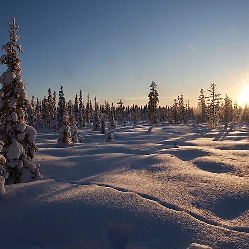 «На закате дня»