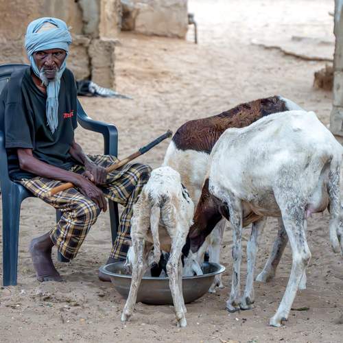 Фотография #13289530