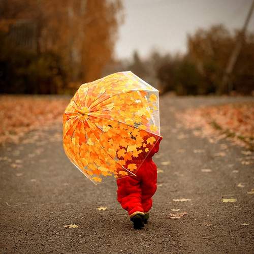 Photo #13289787