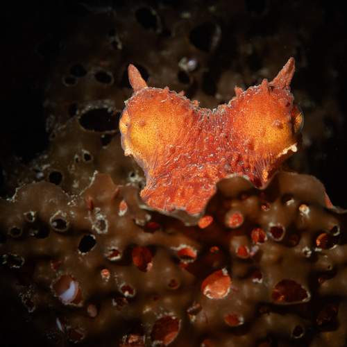 Фотография #13289901