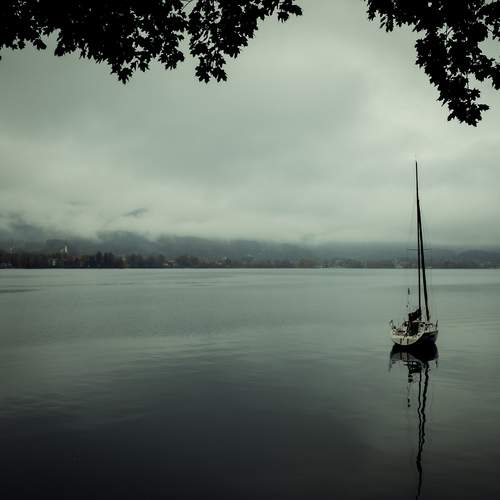 Фотография #13289932