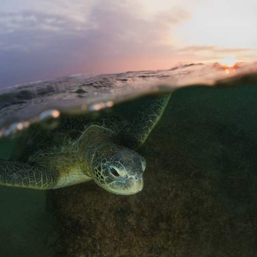 Фотография #13289993