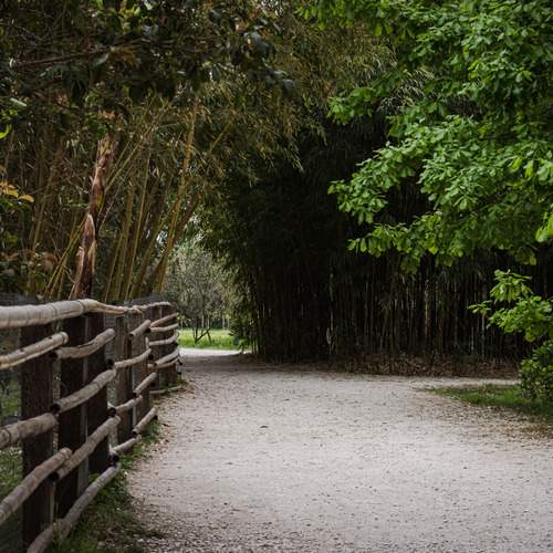 Photo #13289994